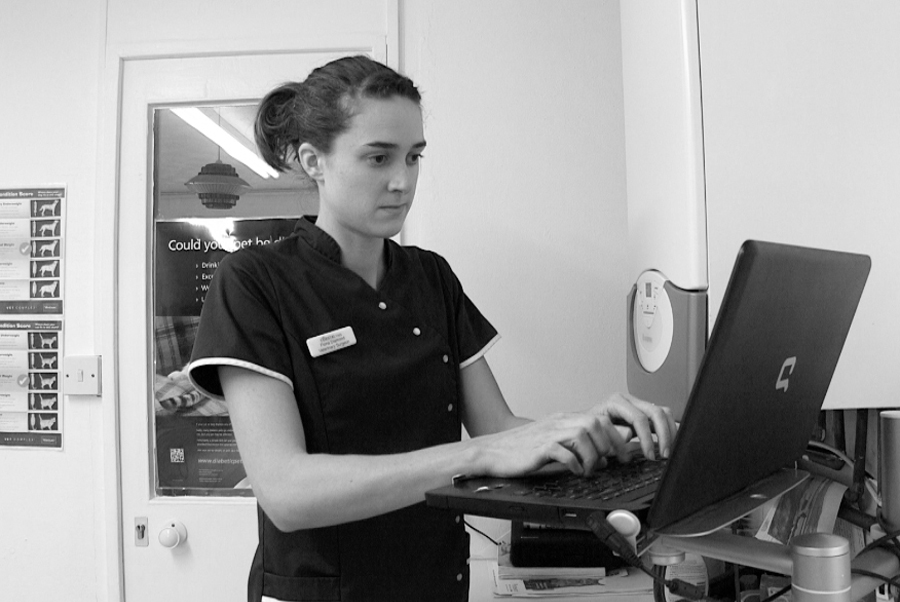 Coastal Vets Fiona in consulting room